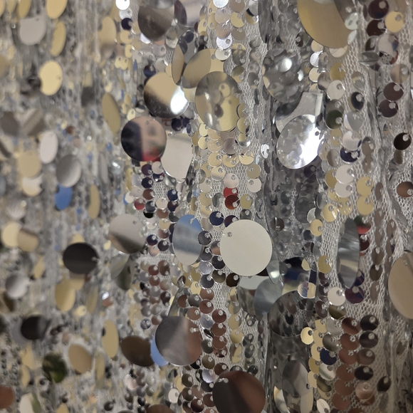 Silver Sequin Sleeveless Dress - Picture 7 of 7